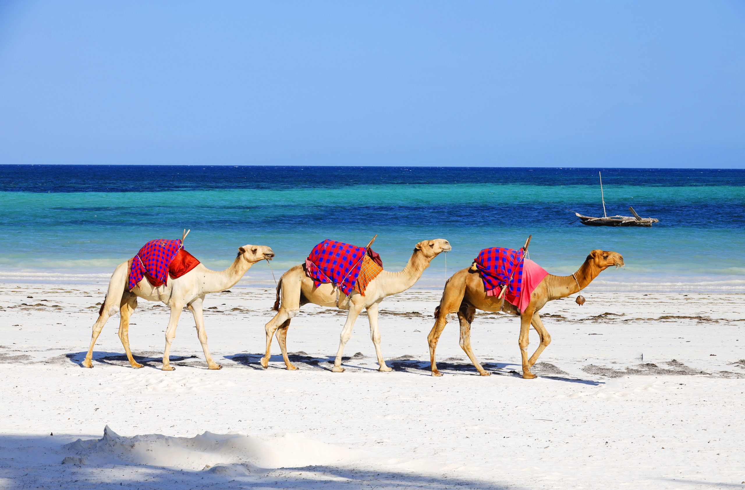 MARSA ALAM